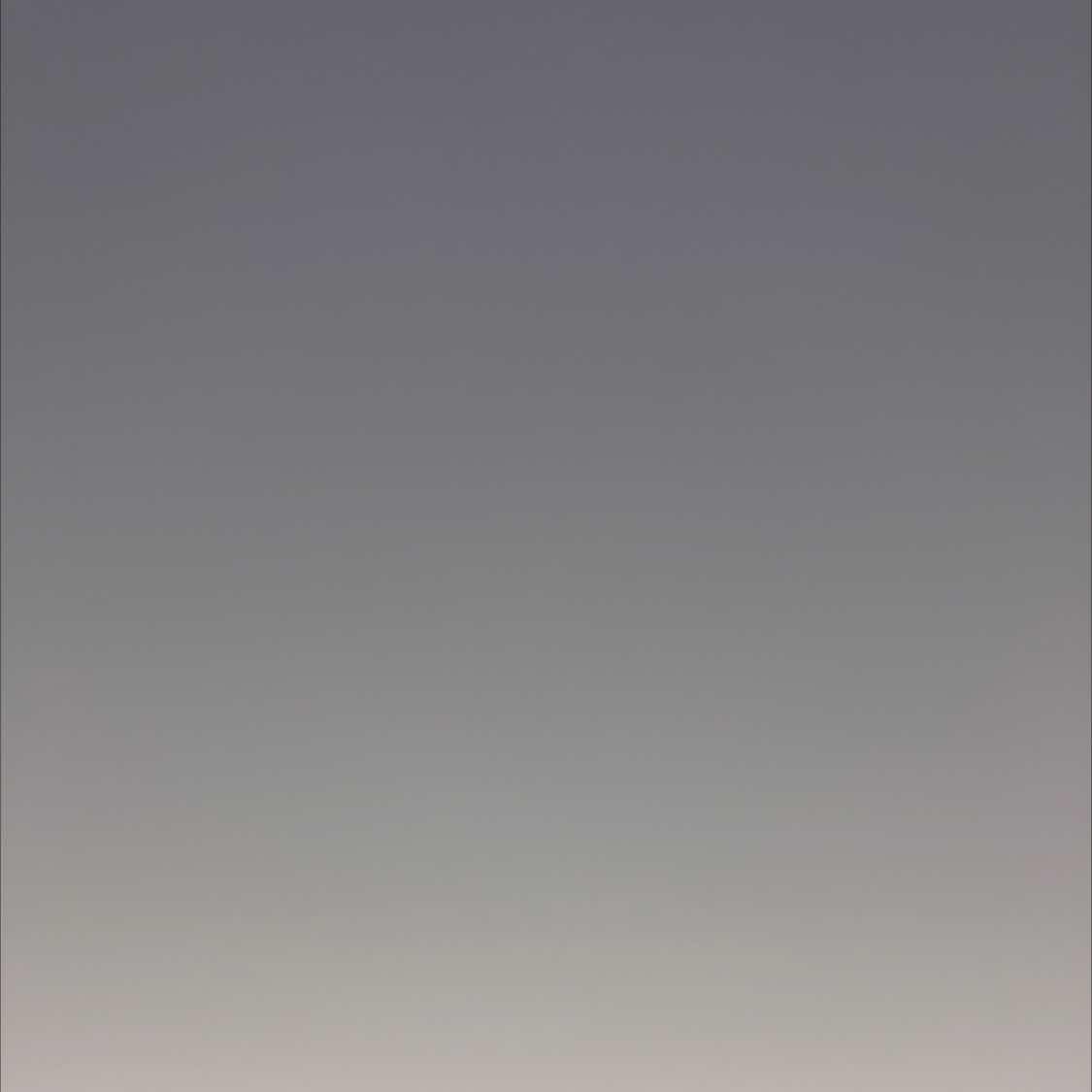 Her lips turned pale. The interweaving pain and resentment